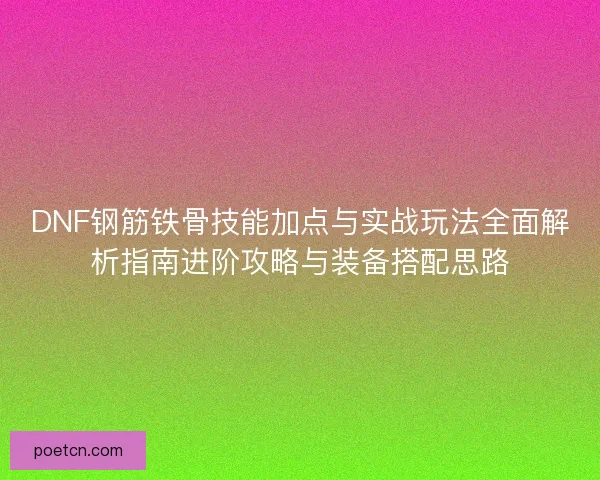 DNF钢筋铁骨技能加点与实战玩法全面解析指南进阶攻略与装备搭配思路